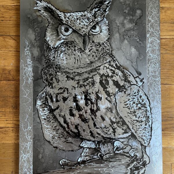 20″ x 30″ Metal Artwork " Archimedes the Owl"