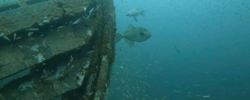 Underwater sculpture “Shipwreck”