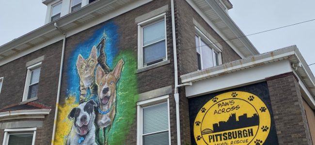 Paws Across Pittsburgh Residents mural